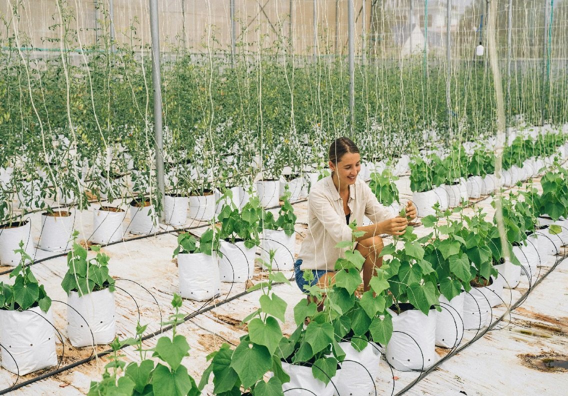 Halal food certification is a crucial aspect of the food industry, ensuring that the products meet the religious dietary requirements of Muslims. In the Savannah region, where there is a growing Muslim population, having access to halal-certified food has become increasingly important.